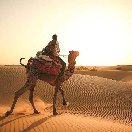 Desert Holiday Jaisalmer Exterior foto
